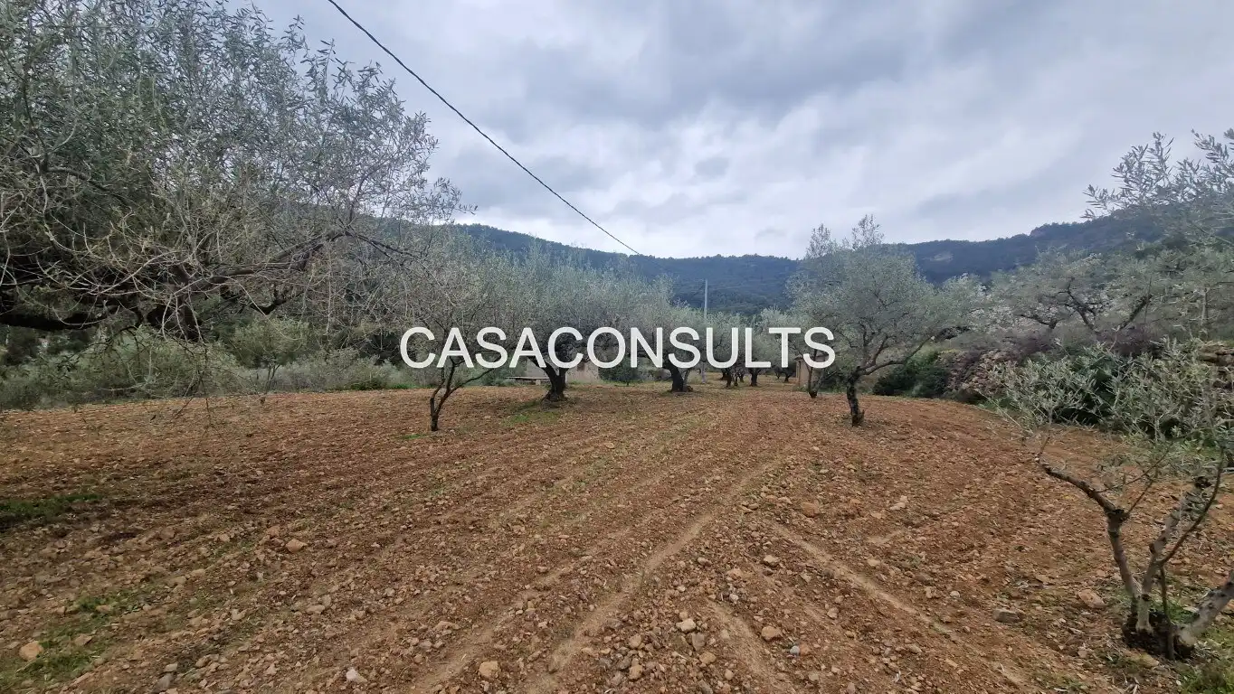 Casa rústica amb jardí en venda a Llucena / Lucena del Cid, imagen 8