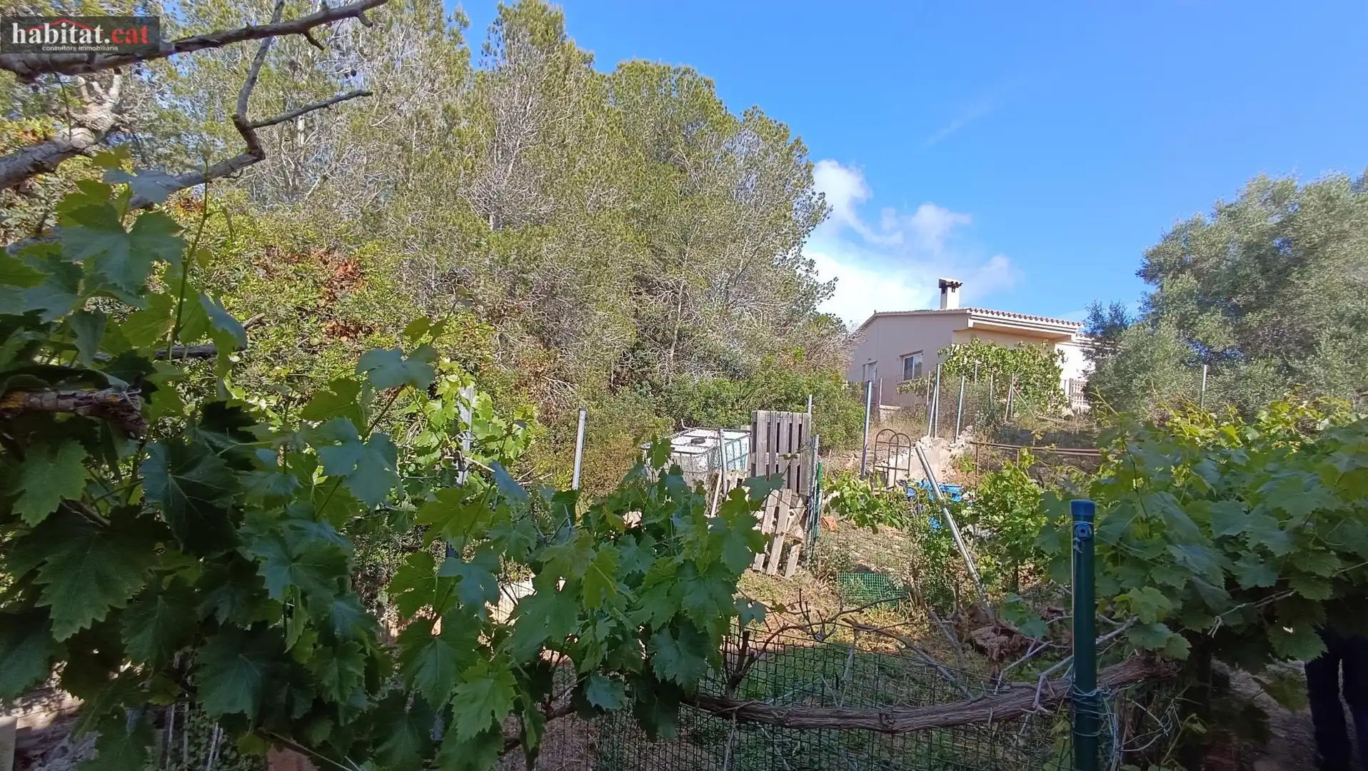 Garden of Houses for sale in Olivella
