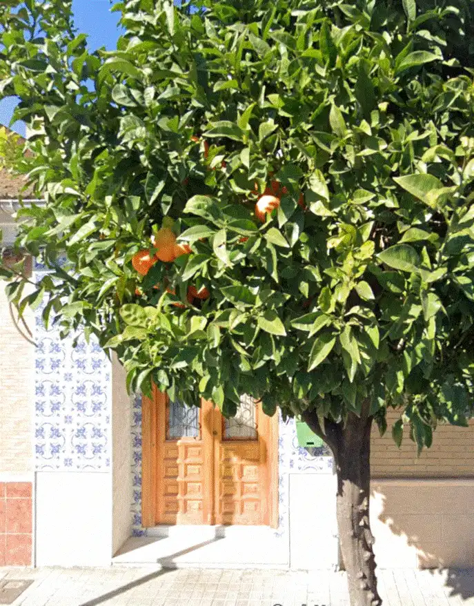 Jardí de Casa o xalet en venda en Aldaia amb Aire condicionat, Calefacció i Parquet