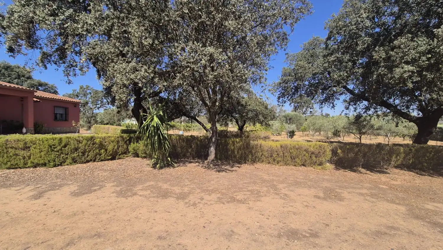 Detached house for sale in Carretera de Sevilla - Los Montitos, imagen 7