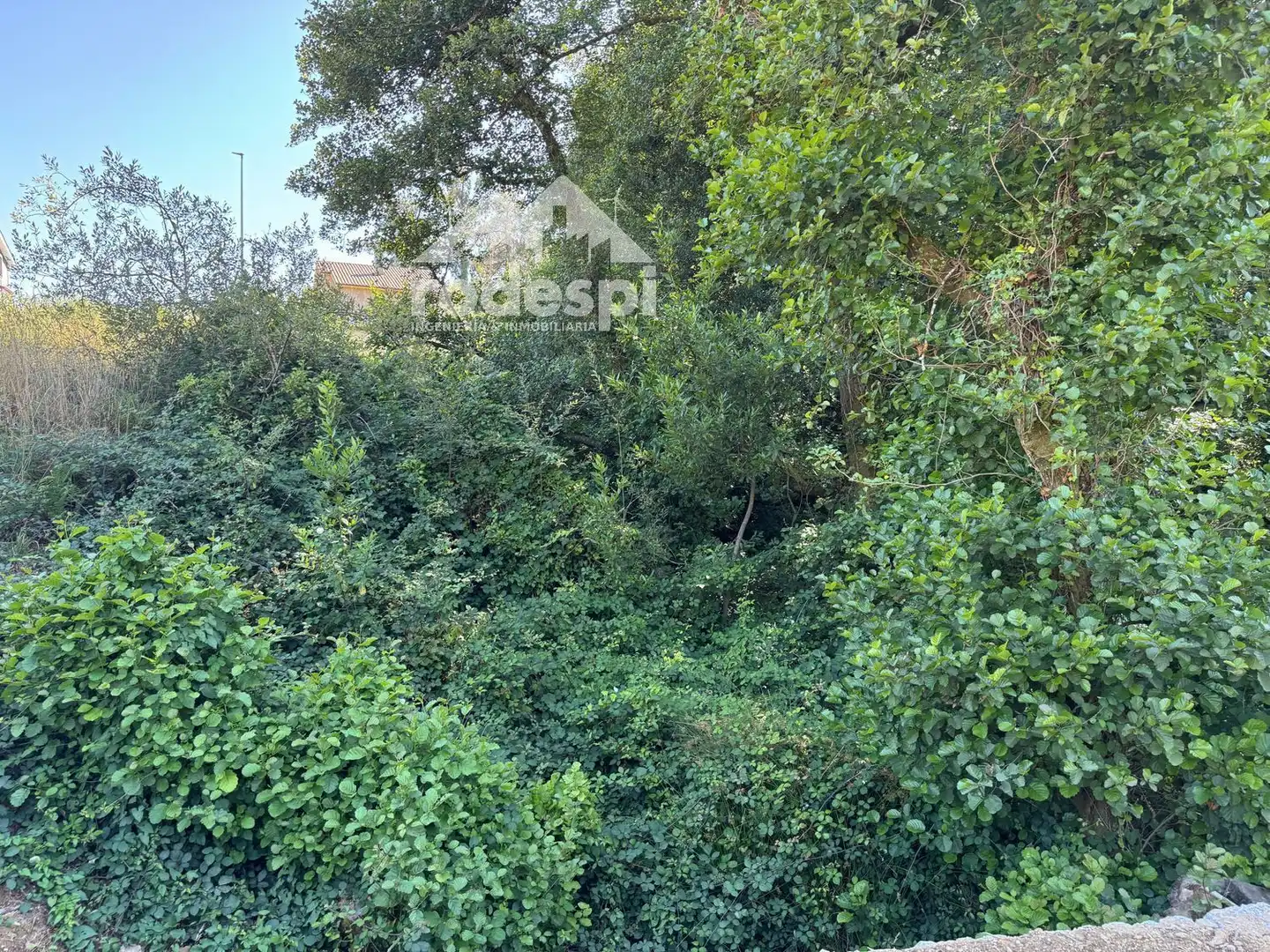 Grundstücke und Bauplätze zum Verkauf in Redondela, imagen 13
