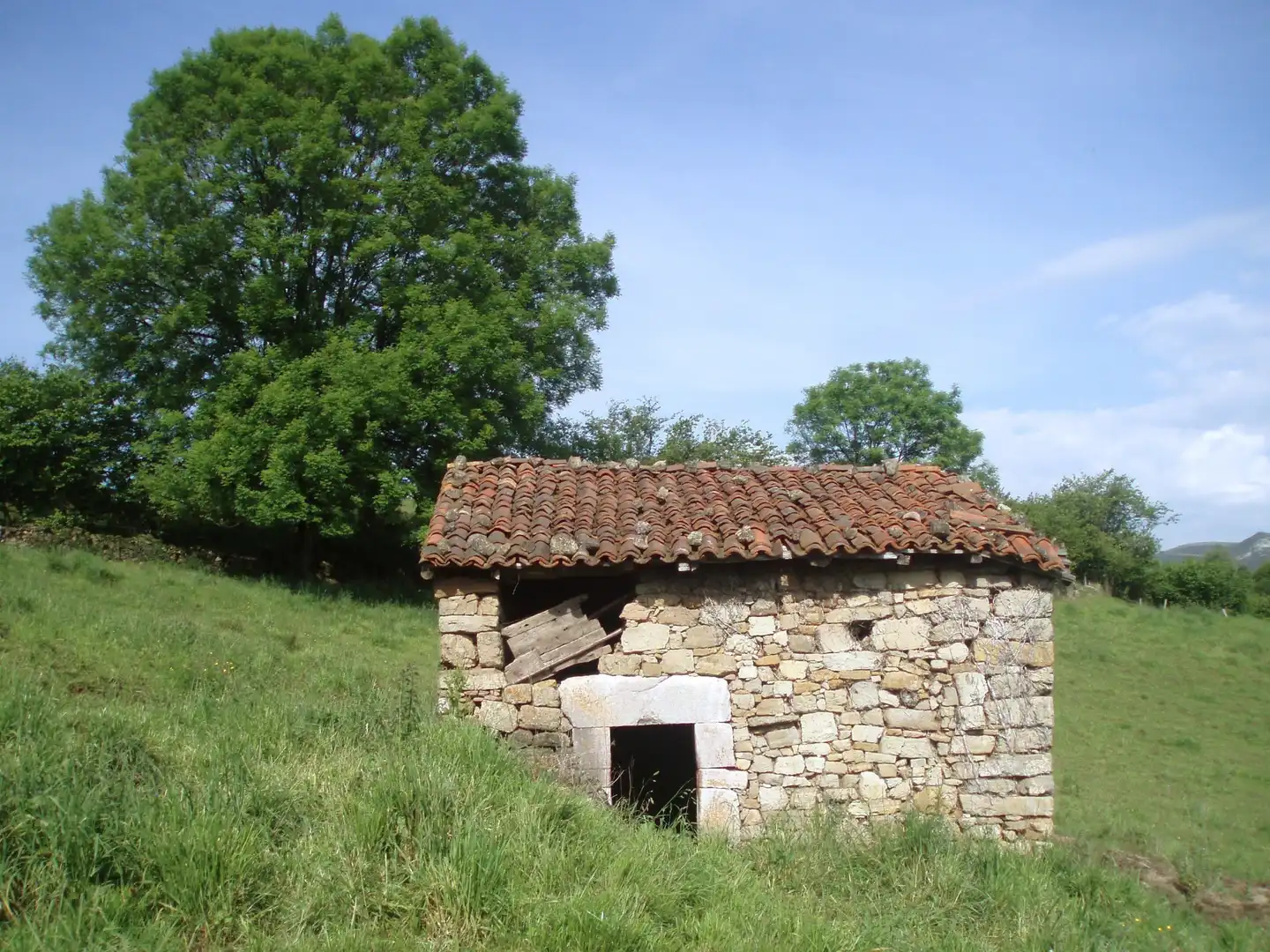 Terreny rústic en venda a Grado, imagen 19
