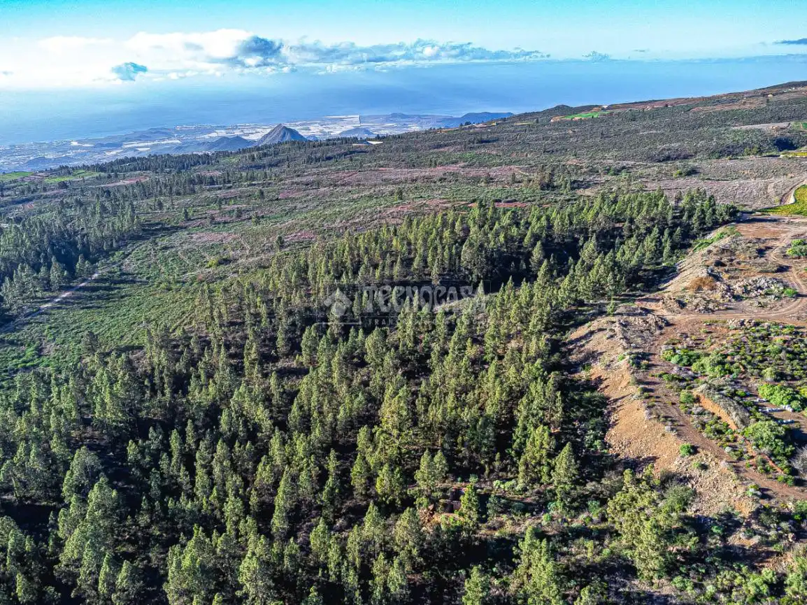 Terreno rústico en venta en Poligono 1, ERA VERDE, VILAFLOR DE CHASNA, imagen 3