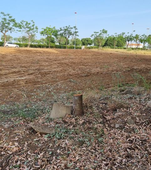 Photo 2 of Industrial land for sale in Avenida del Vino del Condado, 2, Nuevo Parque - Los Rosales - Tráfico Pesado, Huelva Capital
