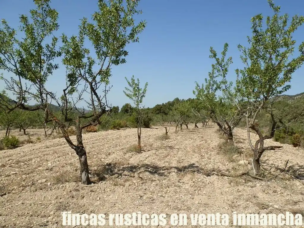 Terreny rústic en venda a Jijona / Xixona, imagen 7