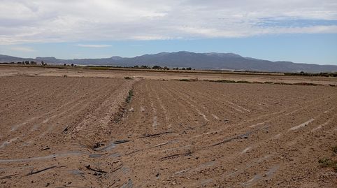 Terreno Rural en el Paretón, immagine 3