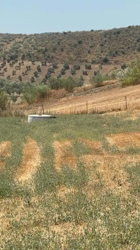 Finca rústica en venda en El Saucejo amb Aire condicionat, Calefacció i Moblat