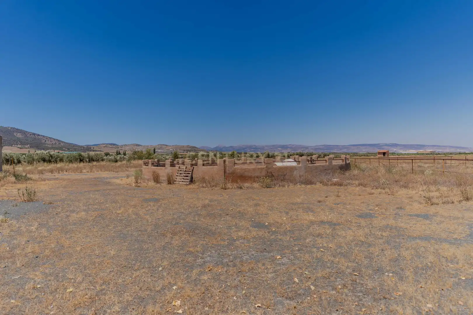 Terreno en venta en Cogollos de Guadix