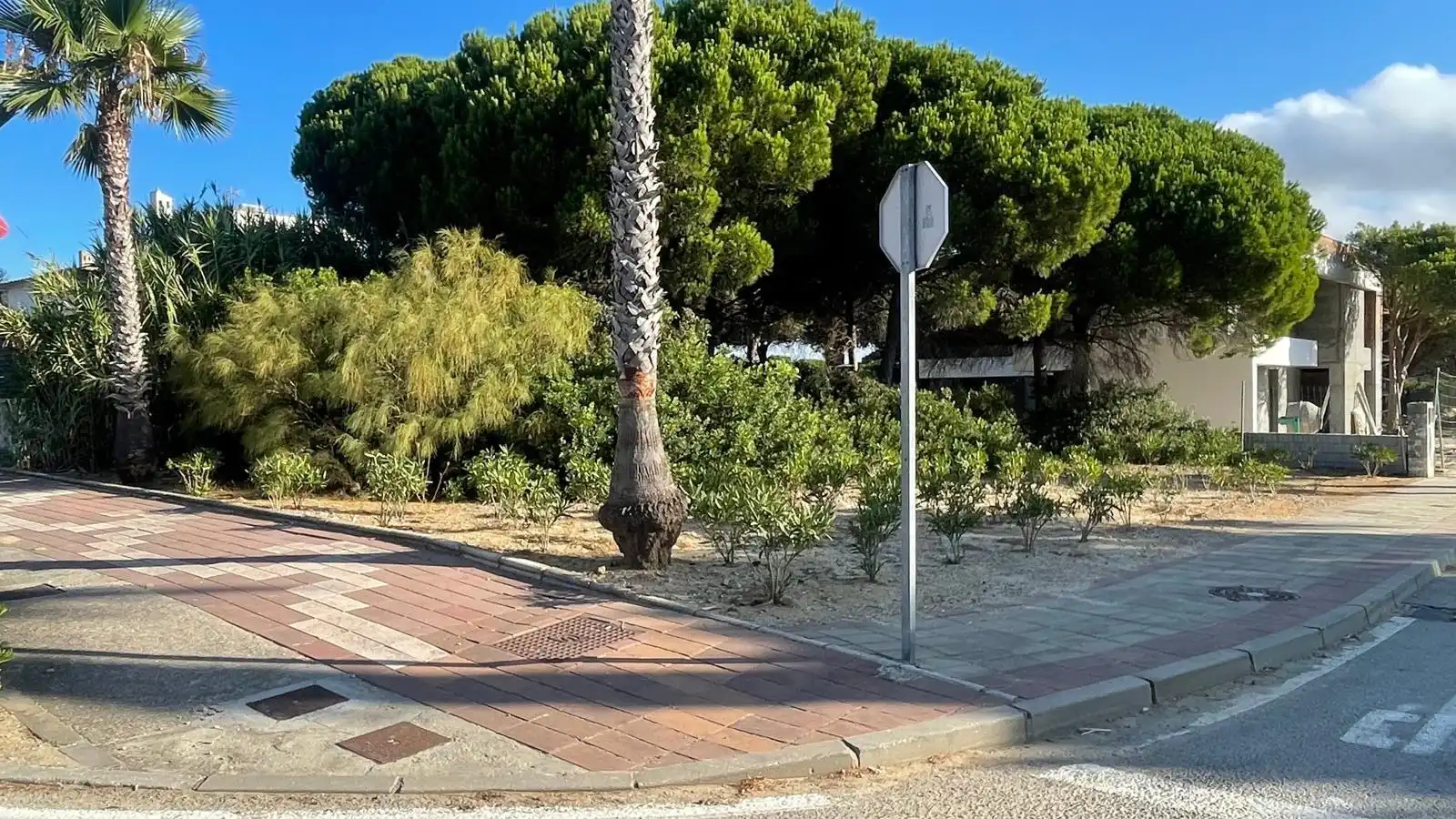 Residential land for sale in Novo Sancti Petri, imagen 8