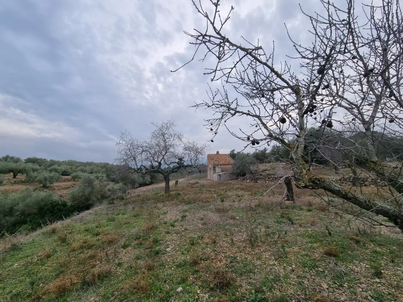 Finca rústica en venda en El Perelló