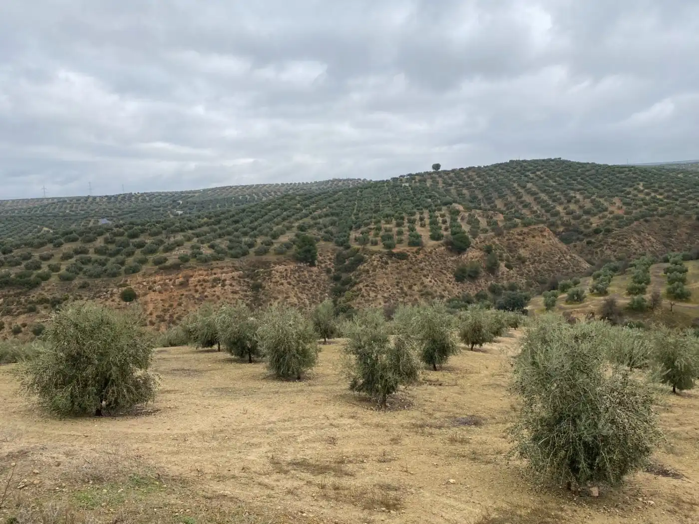 Casa rustica in vendita a Huétor Tájar, imagen 59