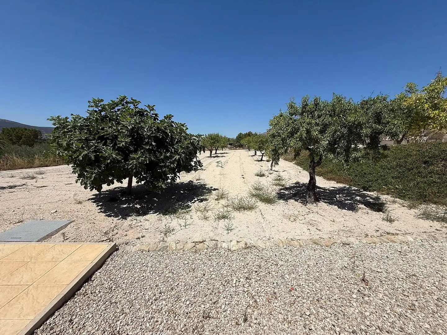 Maison rustique à vendre à Castalla, imagen 32