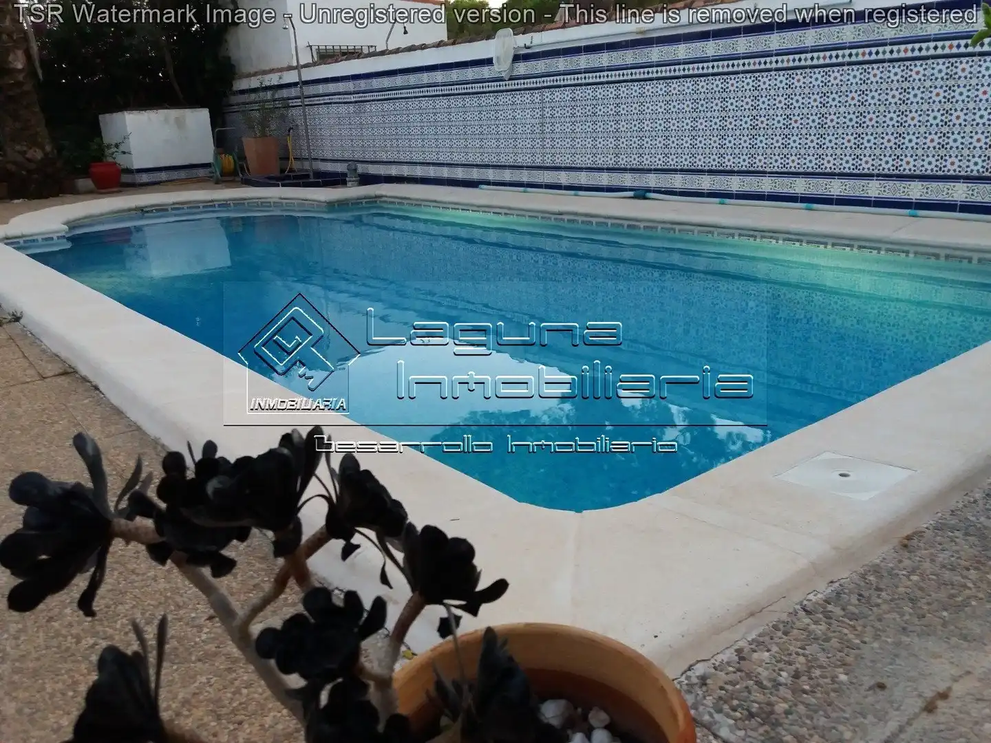 Piscina de Casa o xalet en venda en Chiclana de la Frontera amb Jardí privat, Piscina i Moblat