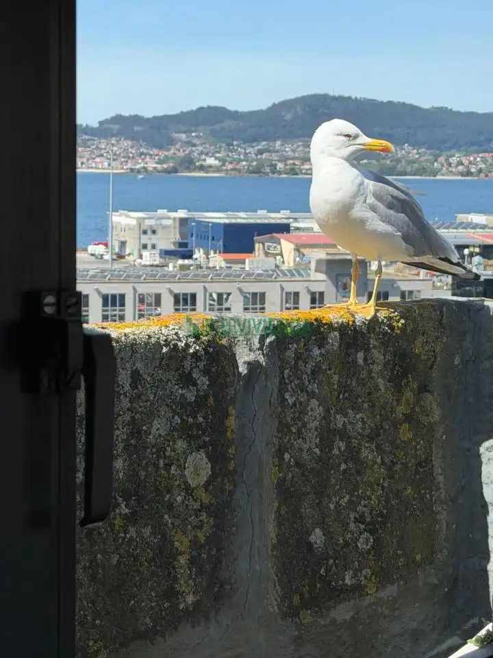 Vista exterior de Oficina de alquiler en Vigo  con Aire acondicionado, Calefacción y Amueblado