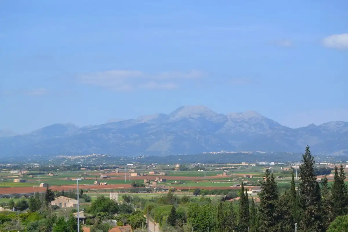 Terrenys i solars en venda a Calle MARJALES