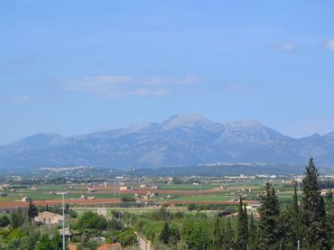 Terrenos y solares en venta en Calle MARJALES