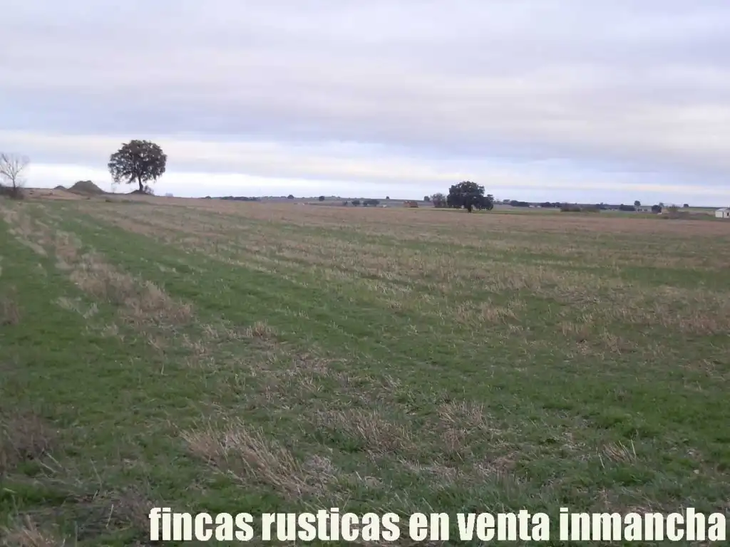 Terreno rústico en venta en Daimiel, imagen 11