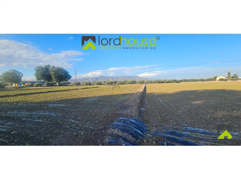 Residencial en venta en N/A, Marchena