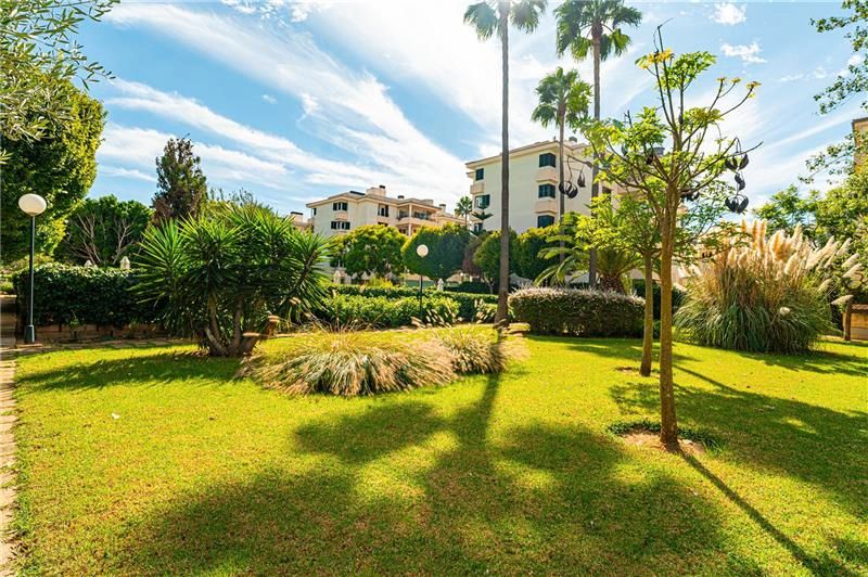 Exterior view of Flat to rent in  Palma de Mallorca  with Terrace and Community pool