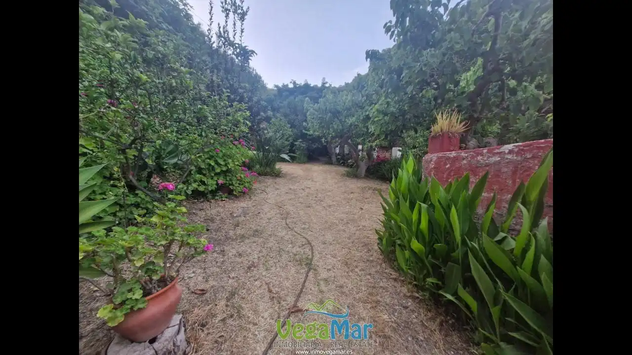 Finca rústica en venda en Jete amb Jardí privat, Terrassa i Piscina