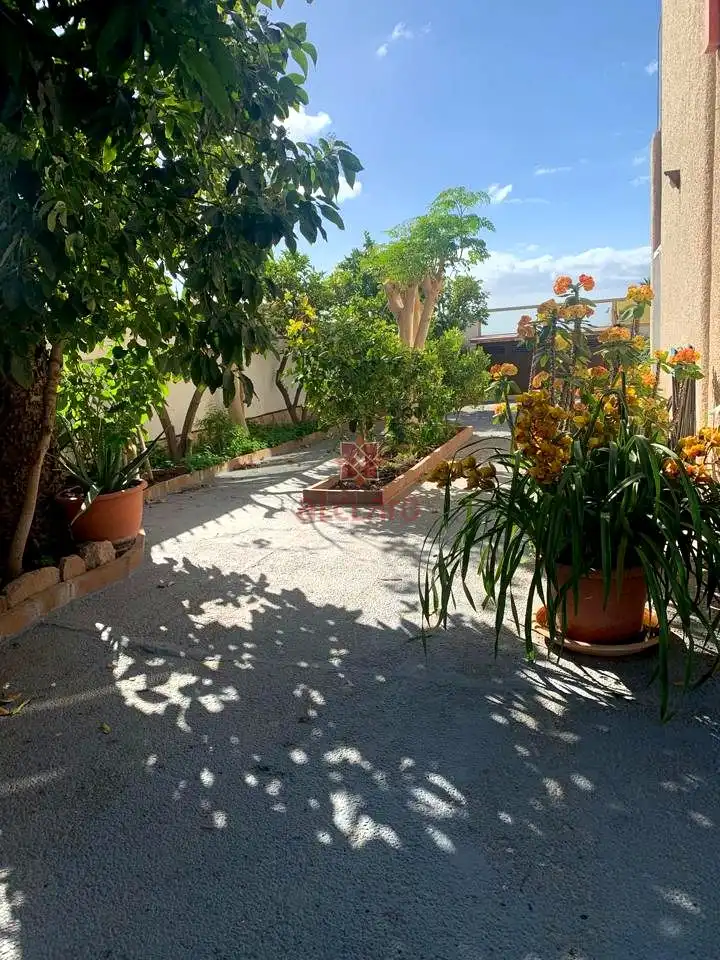 Vista exterior de Casa o chalet en venta en Arona con Jardín privado, Terraza y Piscina