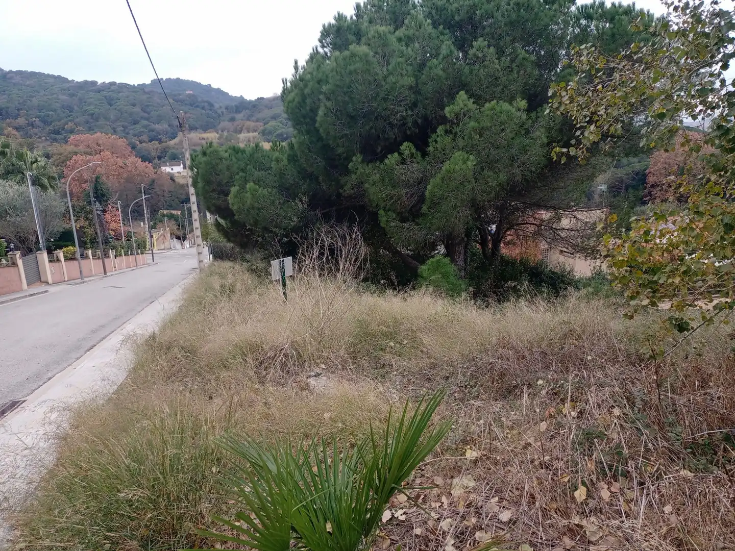 Terrenos y solares en venta en Carrer SALVIA, imagen 7