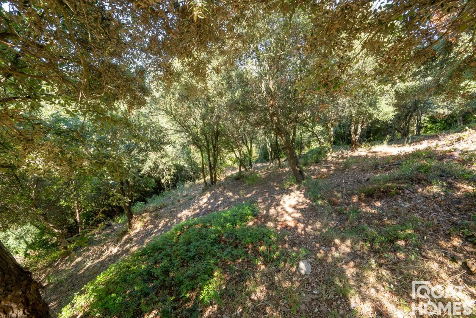 Terreno residenziale in vendita a Antic de Guix Borrull, imagen 13