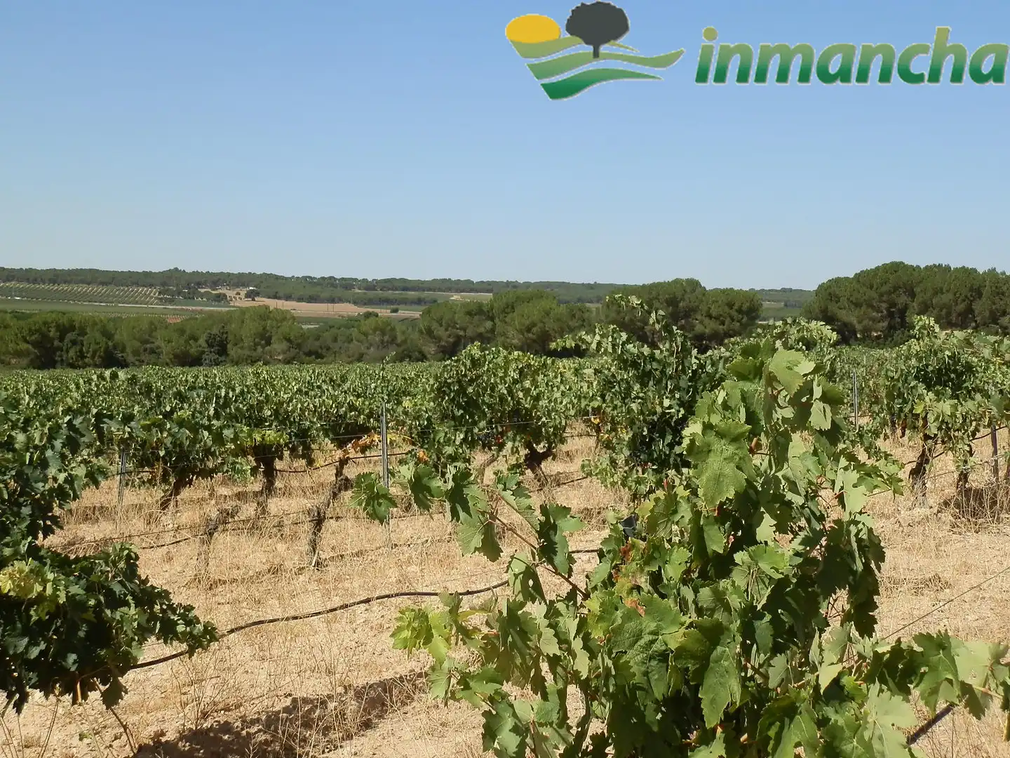 Rural land for sale in La Roda, imagen 16