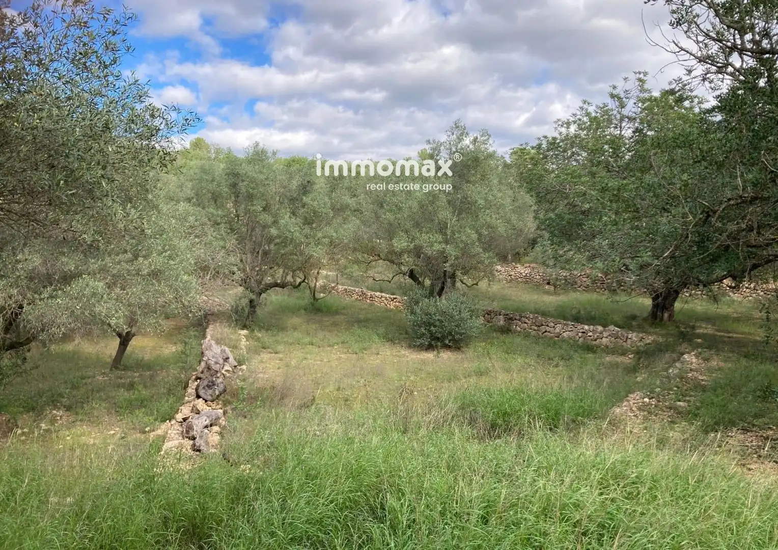 Terrain rustique à vendre à Bítem, imagen 16