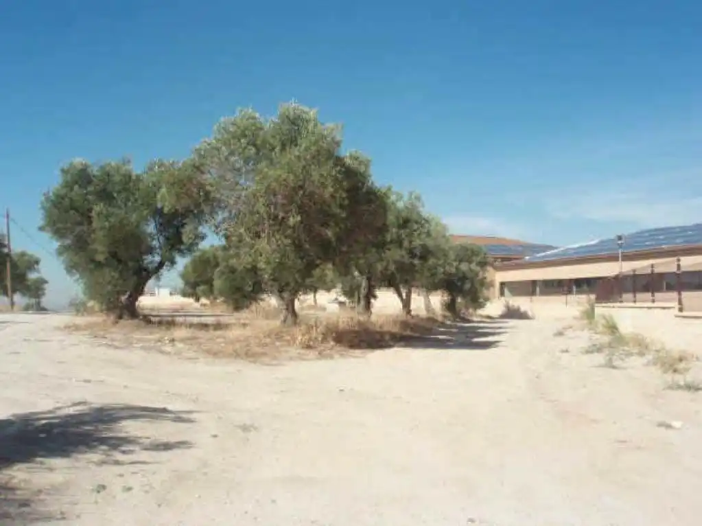Terreno en venta en Sevilla la Nueva