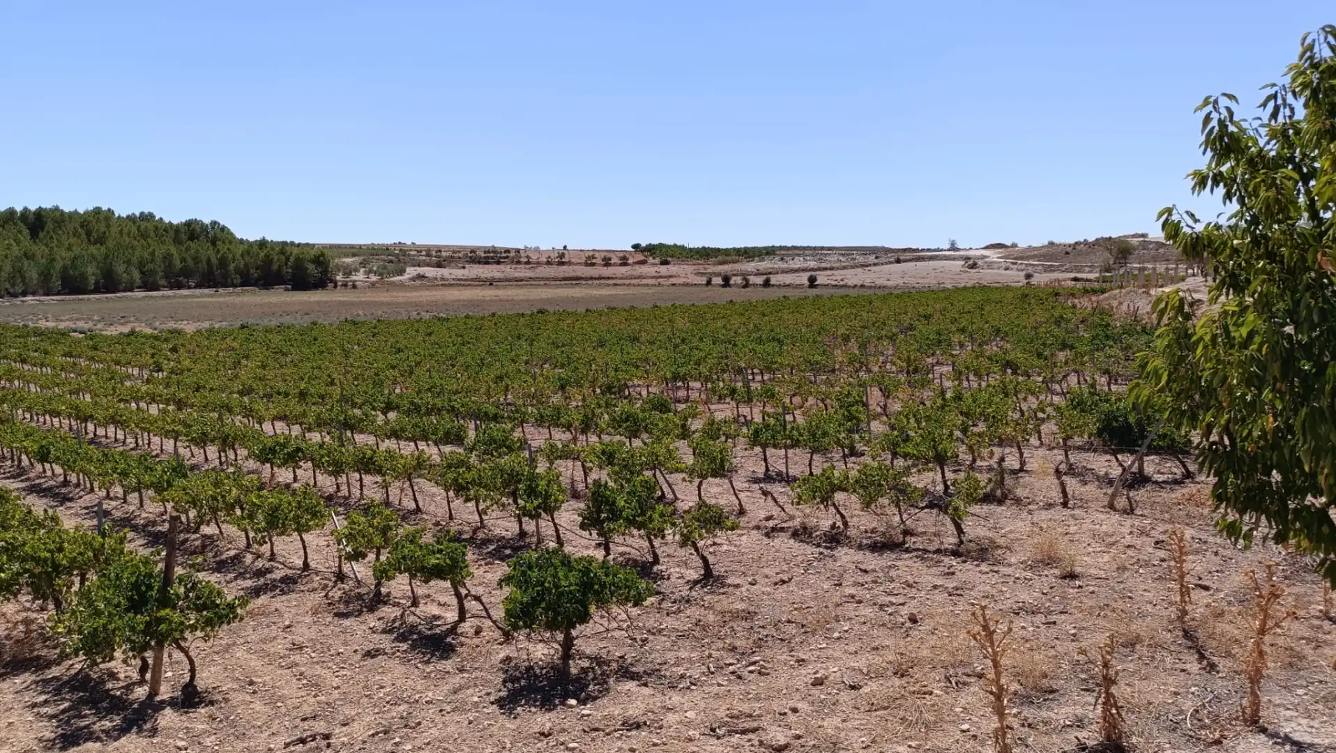 Terreno rustico in vendita a Valdeganga, imagen 29