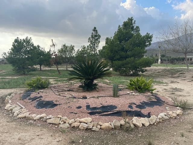 Casa o xalet en venda en Agost amb Aire condicionat, Calefacció i Jardí privat
