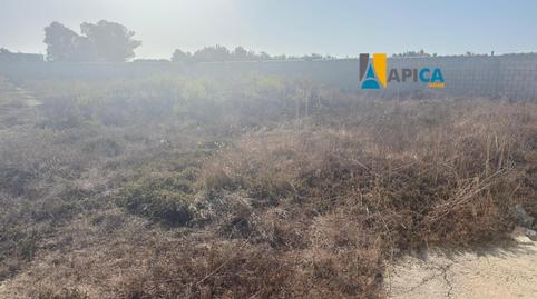 Photo 5 of House or chalet for sale in La Coquina, Cádiz