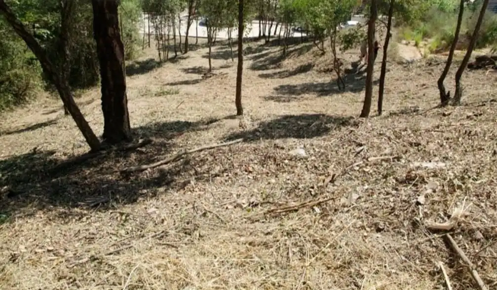 Terreny residencial en venda a Riells i Viabrea