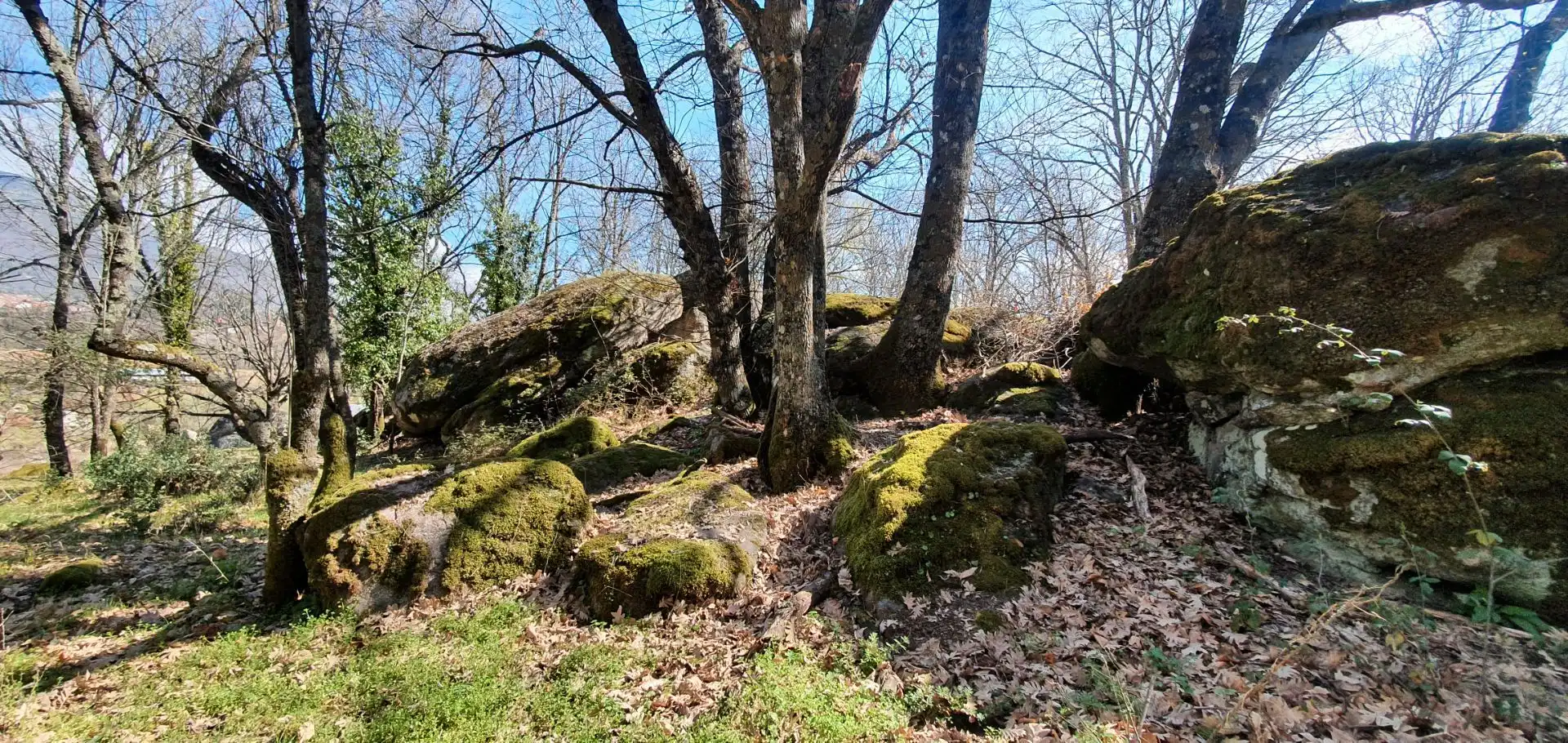 Terreni e lotti in vendita a Jarandilla de la Vera, imagen 18