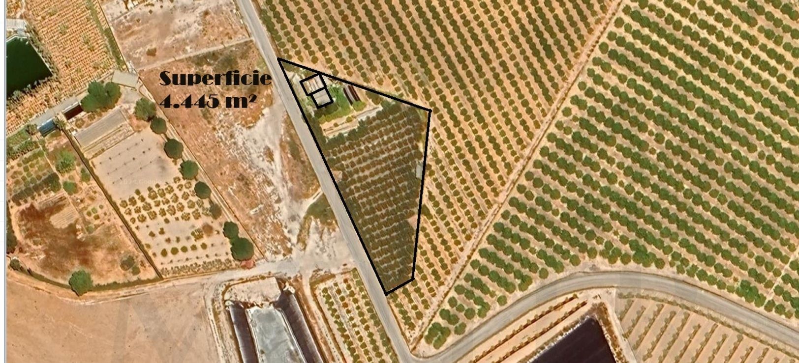 Land for sale in Torre-Pacheco