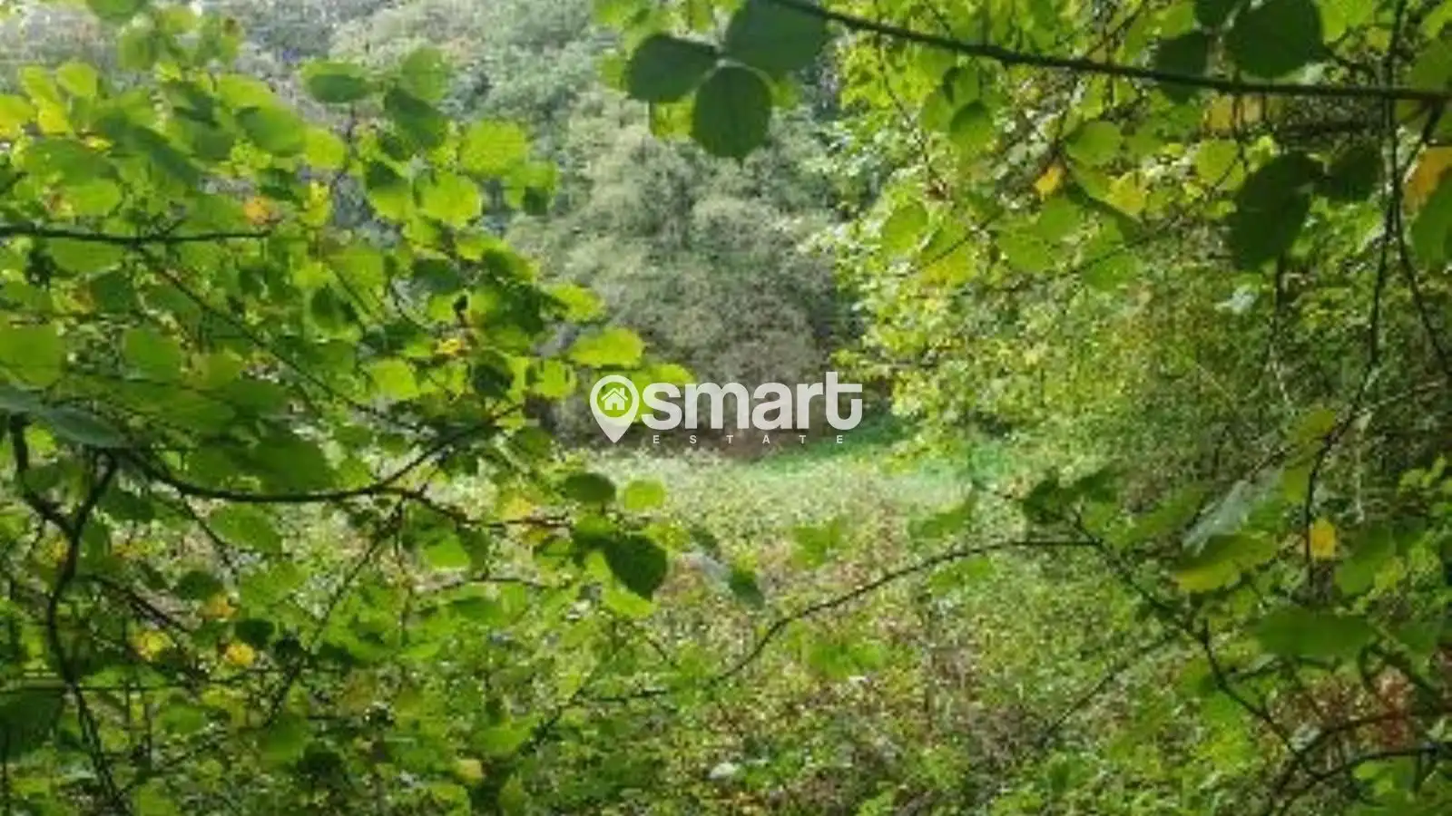 Terreno rustico in vendita a Villalegre - La Luz, imagen 16