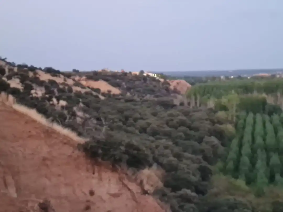 Terreni e lotti in vendita a Escalona, imagen 10