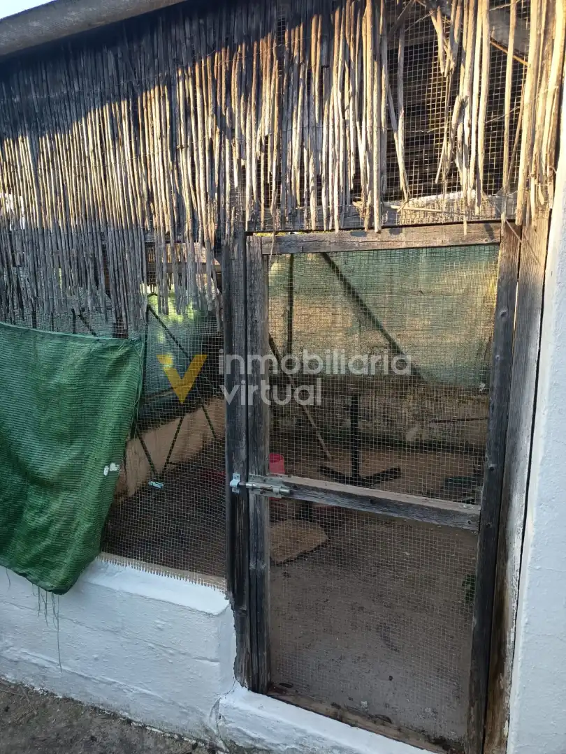 Jardín de Casa o chalet en venta en Lucena con Piscina y Amueblado