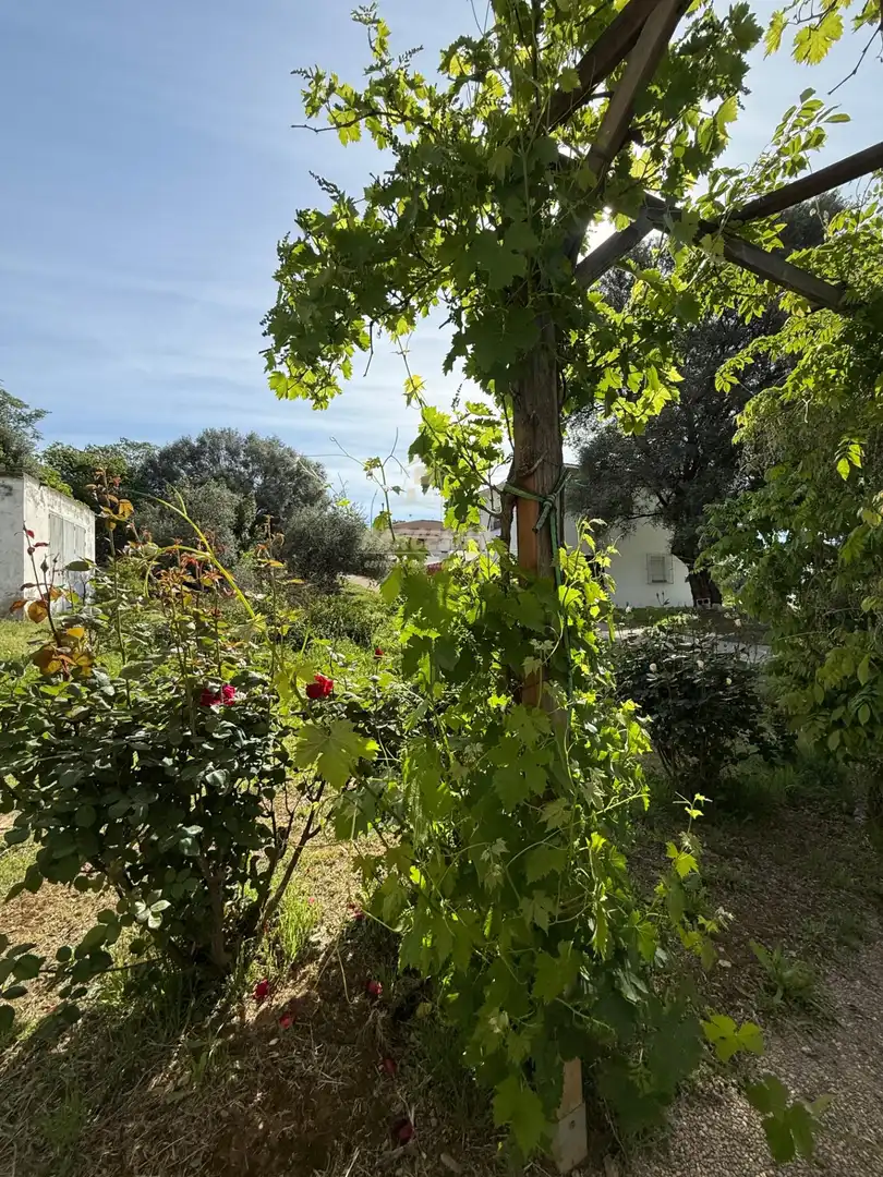 Casa con giardino in vendita a Almodóvar del Río, imagen 23
