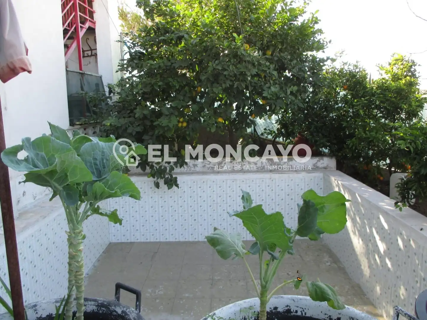 Vista exterior de Casa o chalet en venta en Rojales con Jardín privado, Terraza y Trastero