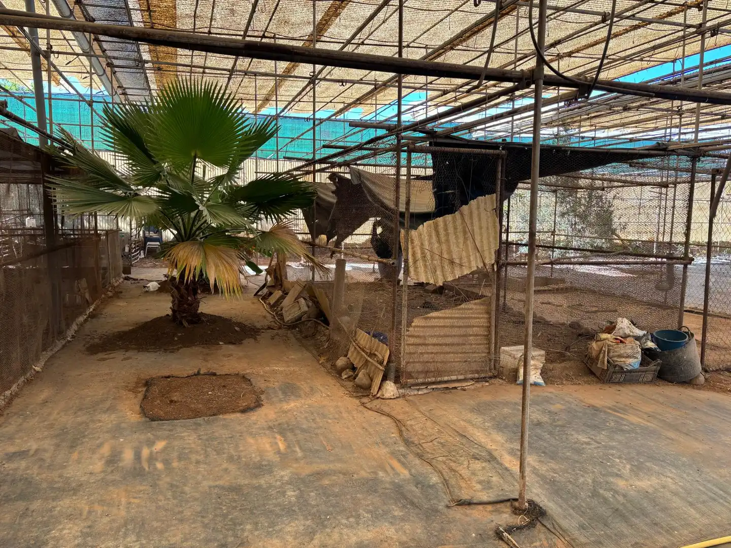 Finca rústica en venda en Agüimes amb Jardí privat i Terrassa