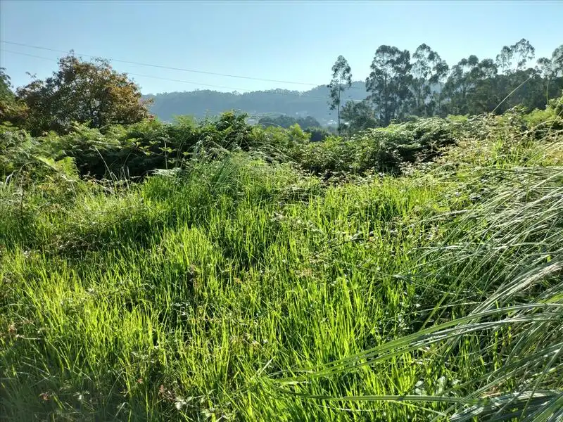 Residential land for sale in FREIXEIRO-DORRON Suelo Polígono 55 Parcela, imagen 15