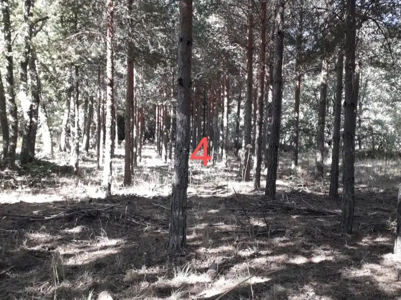 Terreno en venta en Nava de Francia