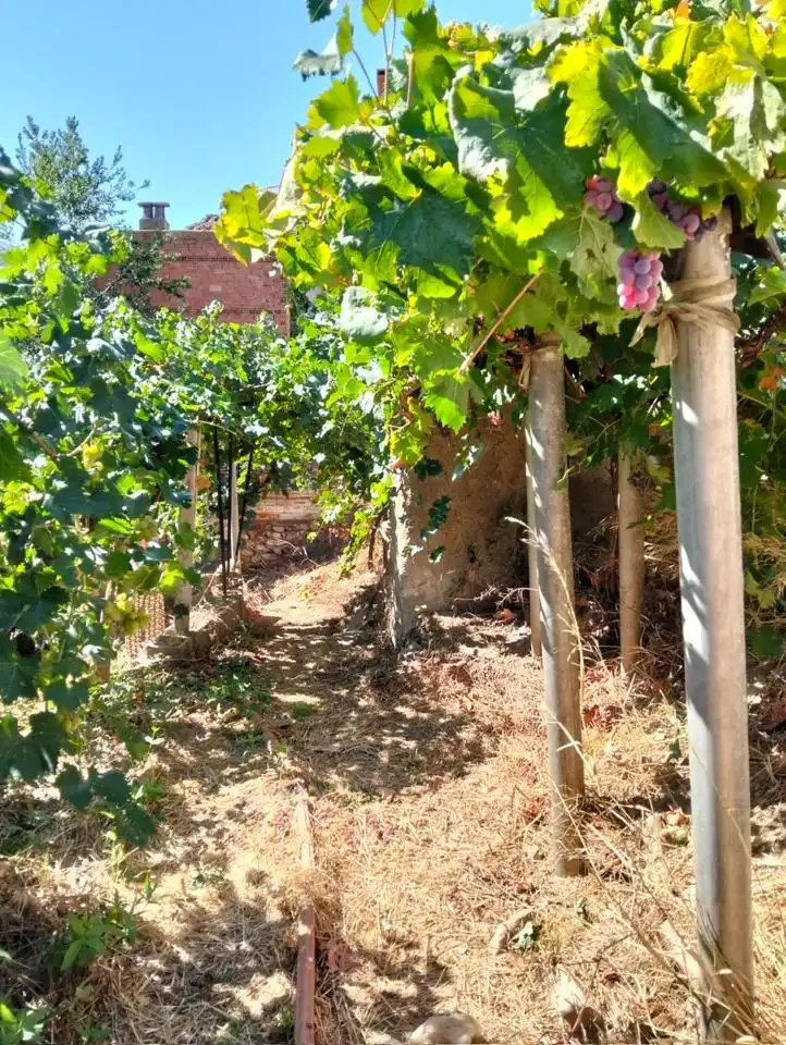Maison avec jardin à vendre à Camino Casa del Lugar, imagen 46
