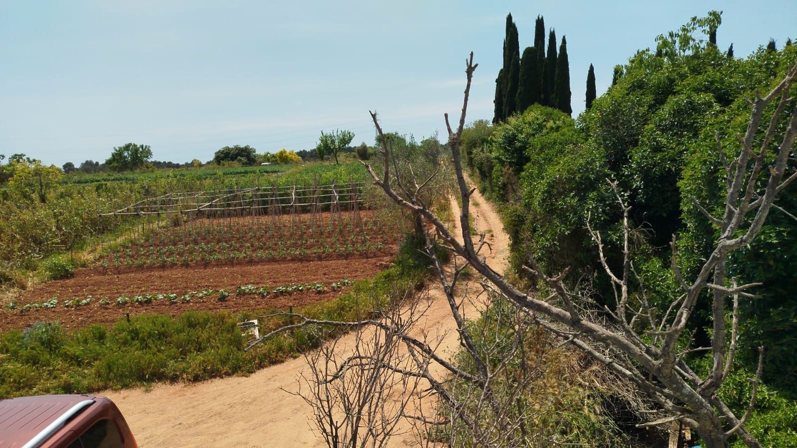 Garden of Country house for sale in Sabadell
