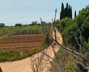 Jardí de Finca rústica en venda en Sabadell