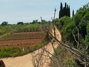 Country house for sale in Concòrdia - Can Rull