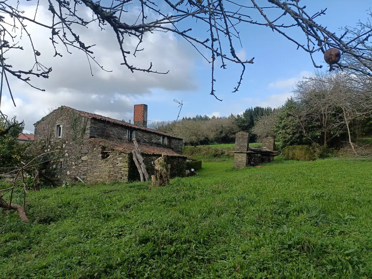 Vista exterior de Casa o xalet en venda en Cesuras amb Jardí privat