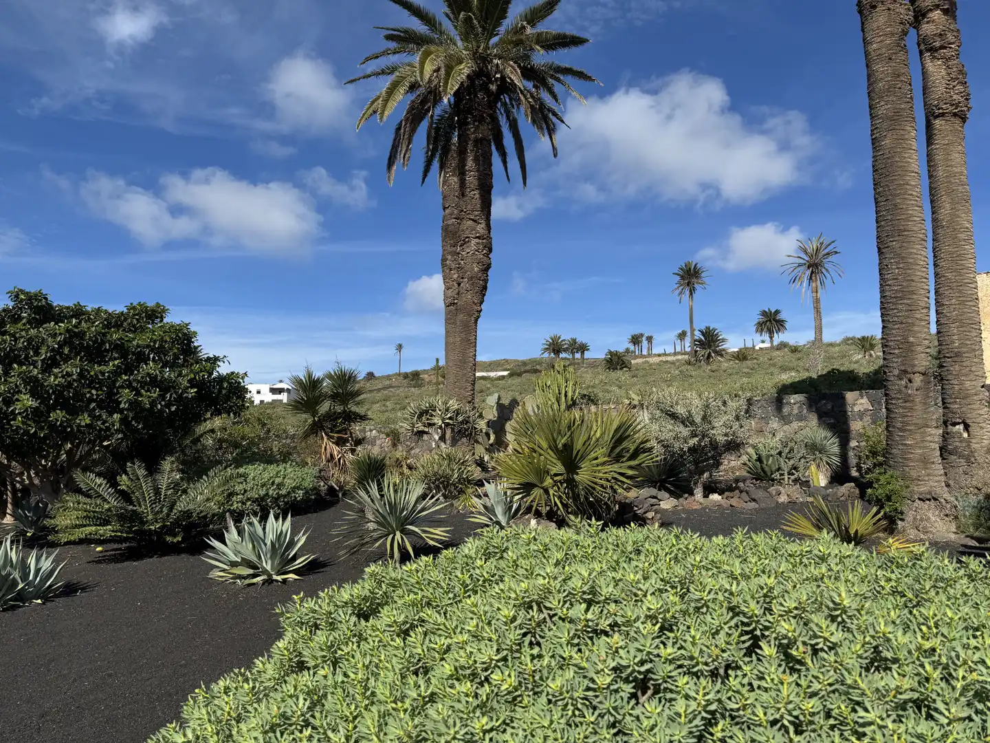 Jardín de Casa o chalet en venta en Haría con Jardín privado y Amueblado